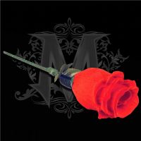 The Rose 2.0 by Bond Lee & Wenzi Magic