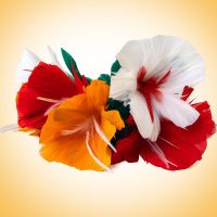 Express-Flower