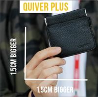Quiver Plus