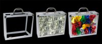 Glassy Briefcase